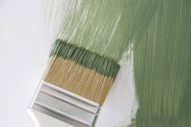 Best Mold Remediation for Healthcare Facilities  in Searingtown, NY