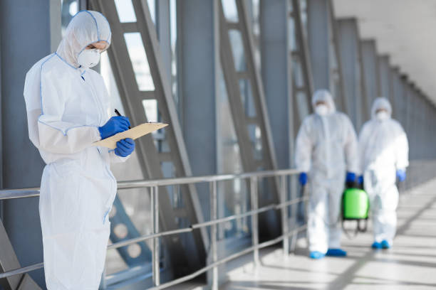 Best Real Estate Mold Inspection  in Searingtown, NY