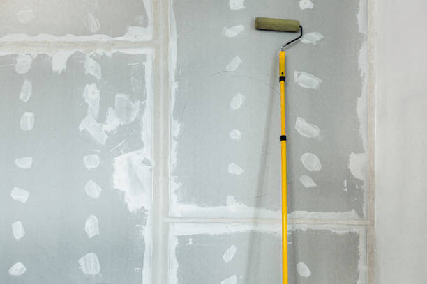 Best Basement Mold Removal  in Searingtown, NY