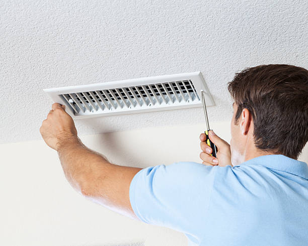 Best Environmental Consulting for Mold Prevention  in Searingtown, NY