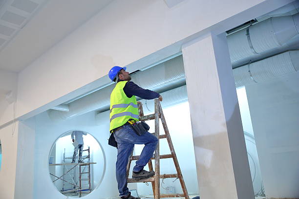 Best Black Mold Removal  in Searingtown, NY