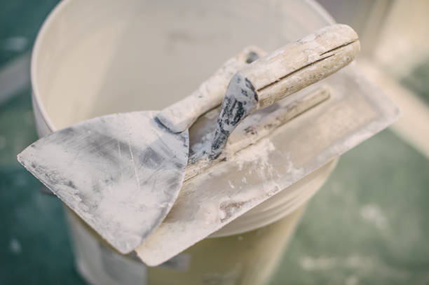 Best Basement Mold Removal  in Searingtown, NY